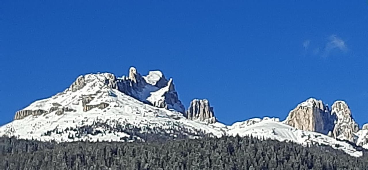 Garni Sayonara Ξενοδοχείο Moena Εξωτερικό φωτογραφία